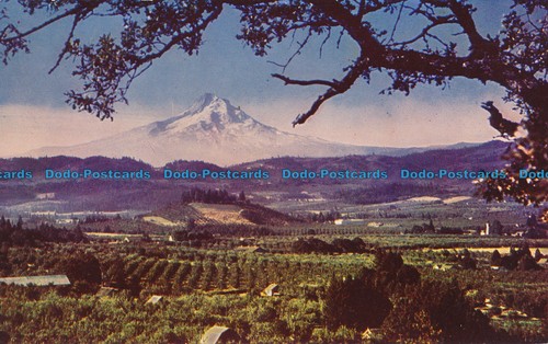 R151788 Hood River Valley. Oregon. C. P. Johnston