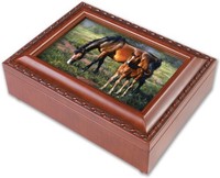 Horses Pretty As A Picture Equestrian Woodgrain Jewelry Music Plays Wonderful Wo on sale Horses Pretty As A Picture Equestrian Woodgrain Jewelry Music Plays Wonderful Wo on sale