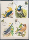XE60233 Belgium 1989 -2001 animals fauna flora birds maxicards used