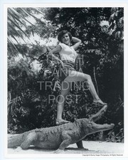 NOS Original 8x10 Bunny Yeager Print Model Standing on Alligator - 1025