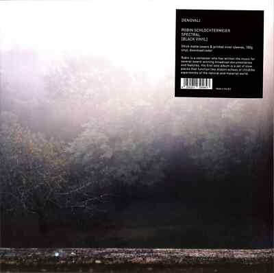 Robin Schlochtermeier / SPECTRAL (180G LP + MP3) / Denovali / DEN335LP / 001395