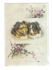 Early 1900's Trade Card Whitlock & Witherill, Silks, Dress Goods - Dogs