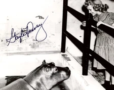 GAYLA PEEVEY SIGNED 8x10 PHOTO I WANT A HIPPOPOTAMUS FOR CHRISTMAS BECKETT BAS