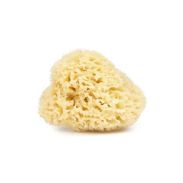 Najel - Spugna naturale del Mar Mediterraneo 9-10 cm