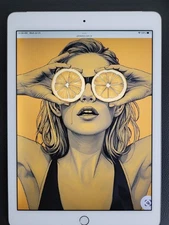 Apple iPad Pro 12.9" (A1652) 256GB, Gold, Unlocked Good B+