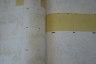 Bild 16 von 17