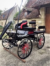 MAGNIFIQUE ATTELAGE NEUF 6 PERS COMPLET