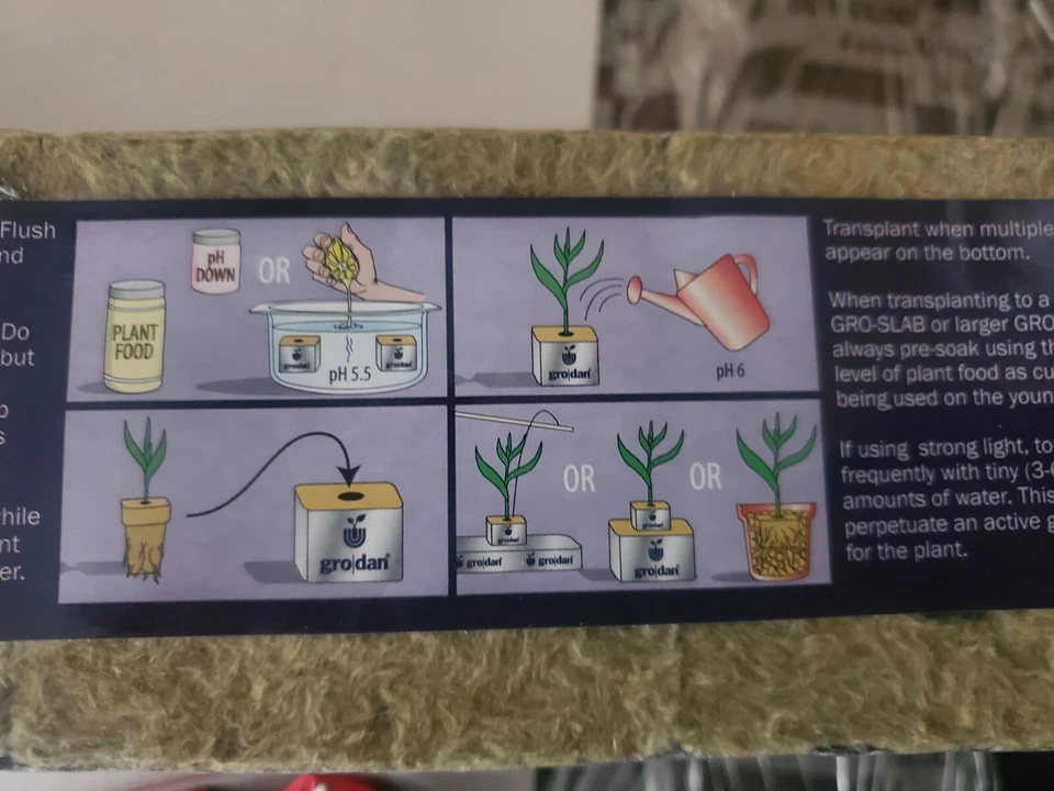 Estuche Grodan Growdan Gro Block 256 unidades Delta grande 3" con agujero 3" x 3" x 4"  Foto 3 de 3