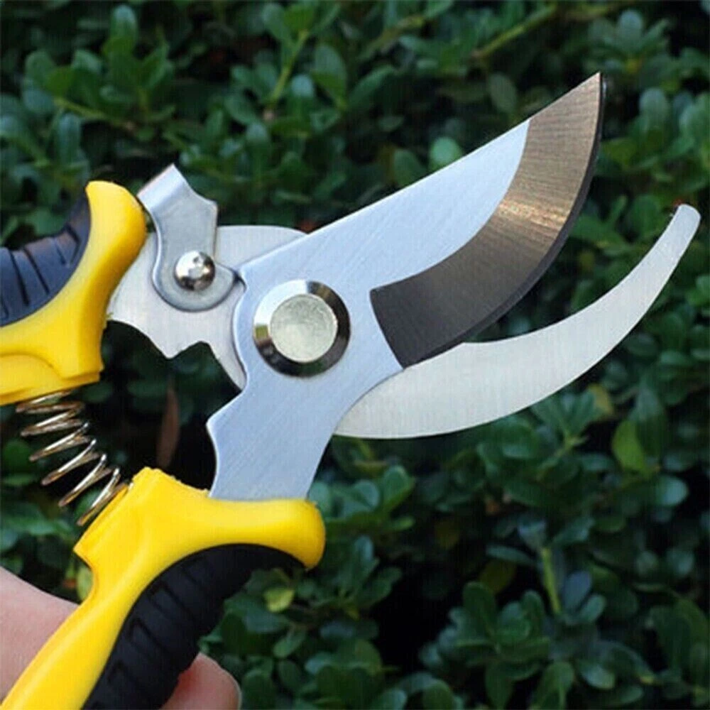 Weed cutters 2024