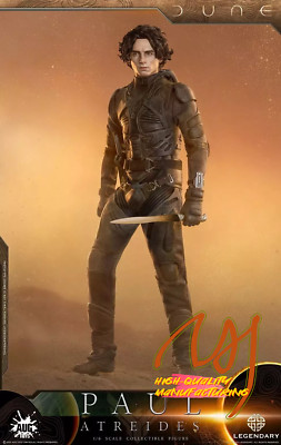 IN STOCK New AUG TOYS DL003 1/6 Paul Atreides Chalamet 12'' Action Figure