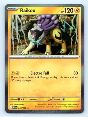 Raikou 048/132 ~ Rare Holo English Near Mint