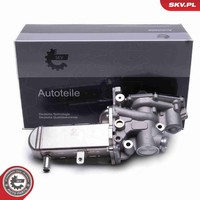 Esen SKV AGR Ventil 14SKV241 12V FüR Renault Laguna 2 KG0 ScÉNic JM0 Megane BM0