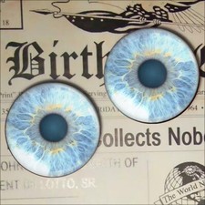 Zombie Glass Eyes Halloween Taxidermy Human Eyeball 16mm Set