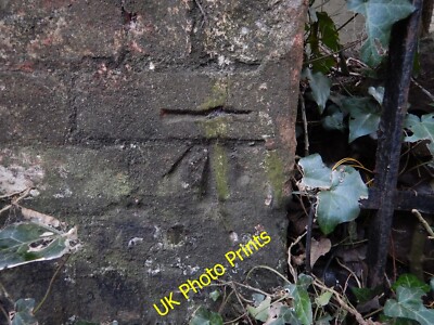 Photo 6x4 Cut Benchmark Exeter Ordnance Survey cut mark benchmark 3rd ord c2015