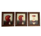 Vintage Mid Century Surrealist Apple Bite Progression Oil Paintings Set 3 Iona