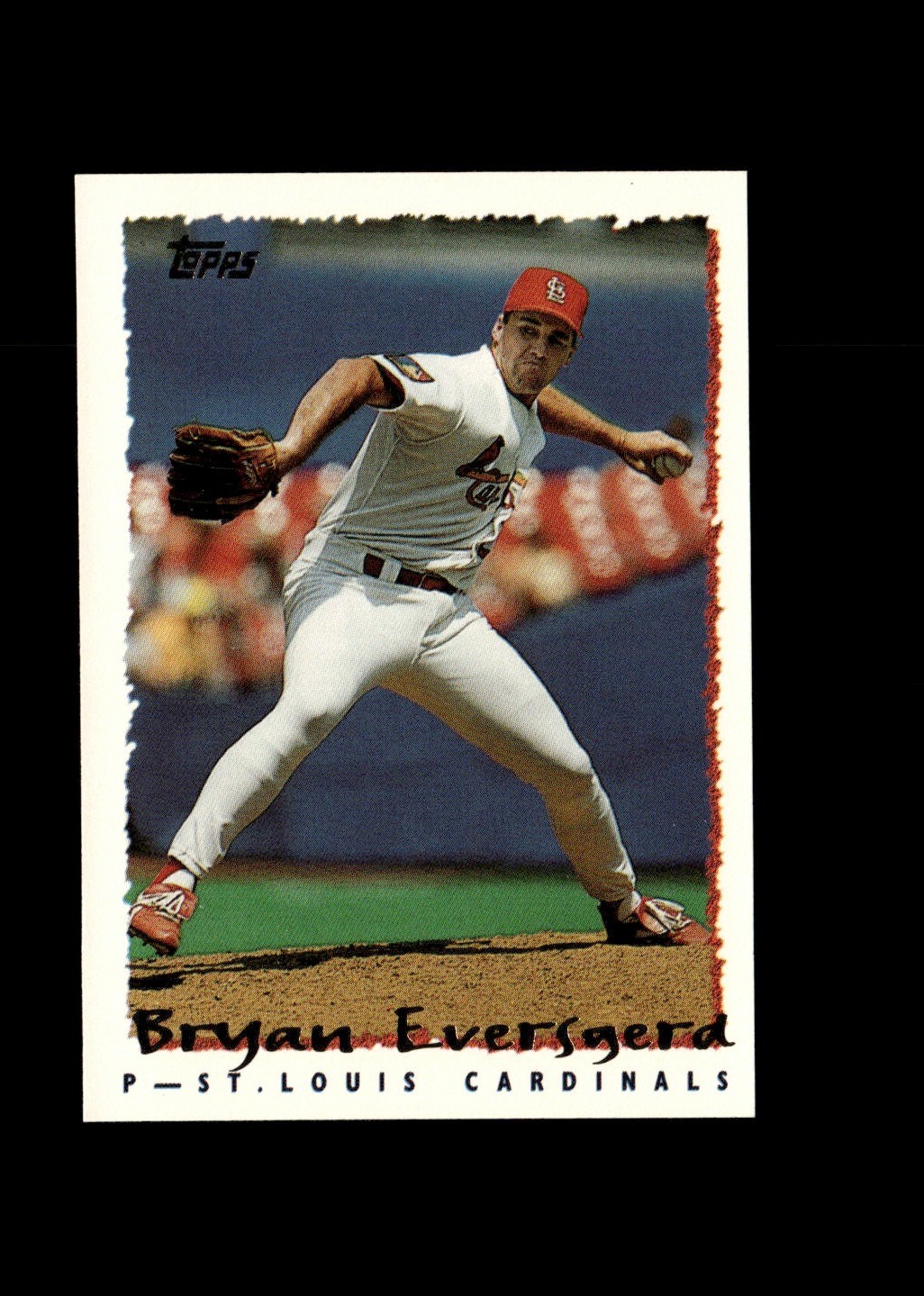 Bryan Eversgerd : 1995 Topps MLB Baseball Card #481 : St. Louis Cardinals