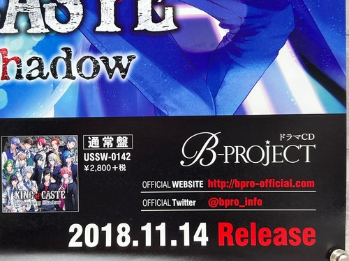 König der Kaste, schleichender Schatten, B-Projekt, doppelseitig, Shop B2 Promo-Poster, - Bild 8 von 8