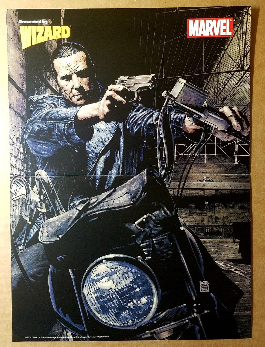 絵画 PUNISHER The Punisher Motorcycle Handgun Pistol Marvel Comic Poster by Tim