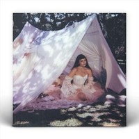Julia Mestre - Maravilhosamente Bem - Vinyl Record - G1398Z