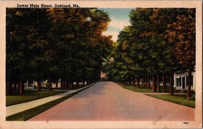 Lower Main Street Oakland Maine ME Tichnor Linen Postcard Tree Lined Road