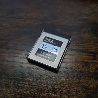 256GB Professional CFexpress Type B Silver Series Memory Card, for