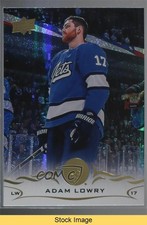 2018-19 Upper Deck Speckled Rainbow Foil Adam Lowry #447 READ 0l2
