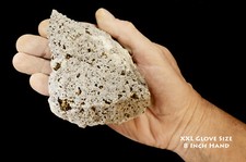 Muestra mineral de roca cruda BIOTITA MICA en andesita 4 1/2" 1-2 lb cristal curativo