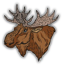 Moose Head Sketch Car Bumper Sticker Decal