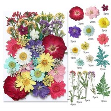 Nature Dried Pressed Flowers Leaves Crafts for DIY Resin Jewelry Making Decor