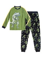 Boy's Dinosaur, T-Rex Glow -In-The-Dark Pajama Set, Size L 10/12
