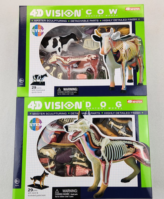 New - 4D Master 4D Vision Cow And Dog Anatomy Models