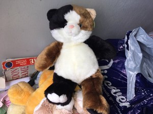 tortoiseshell cat soft toy