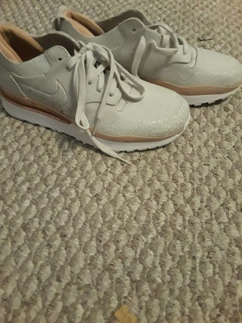 air safari royal
