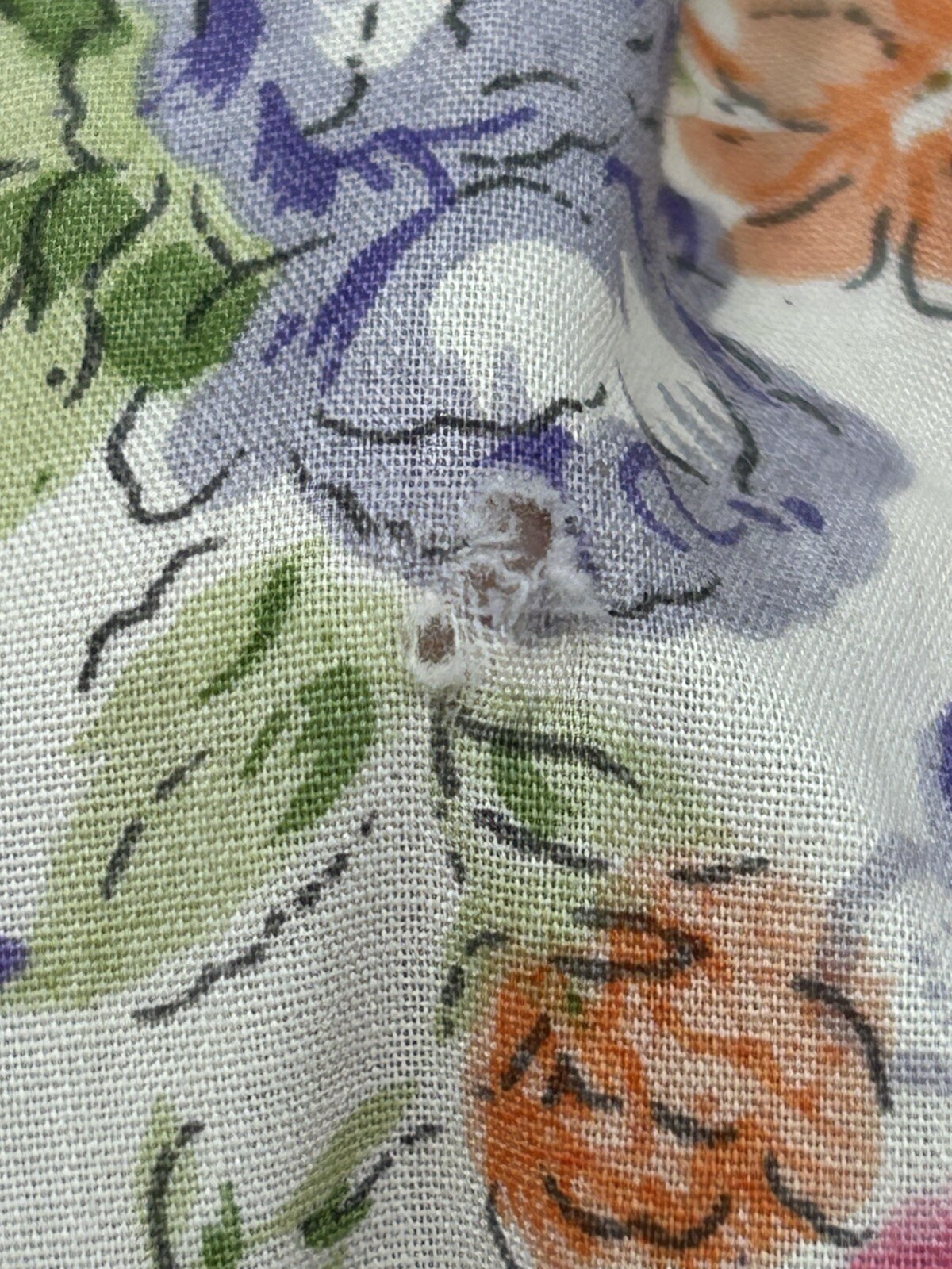 Picture 12 of 12