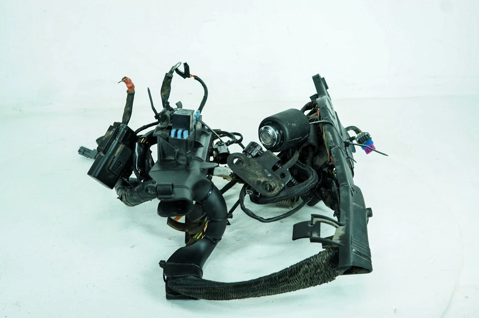 07 Harley Sportster Custom 883 Arnés de cable principal Telar Interruptor de encendido NOKey 1352 Foto 2 de 4