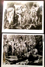 RAQUEL WELCH (ORIGINAL VINTAGE CANDID,SEXY,FILMS PHOTOS)