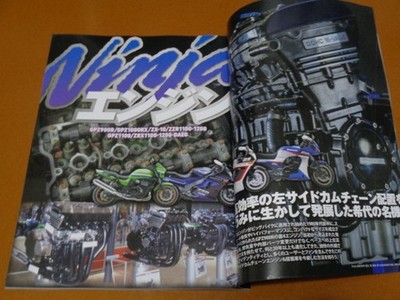 ZRX1200R, ZRX1200 DAEG, GPZ900R, Ninja Engine. Inspection GPZ1000RX, ZX-10, ZZR