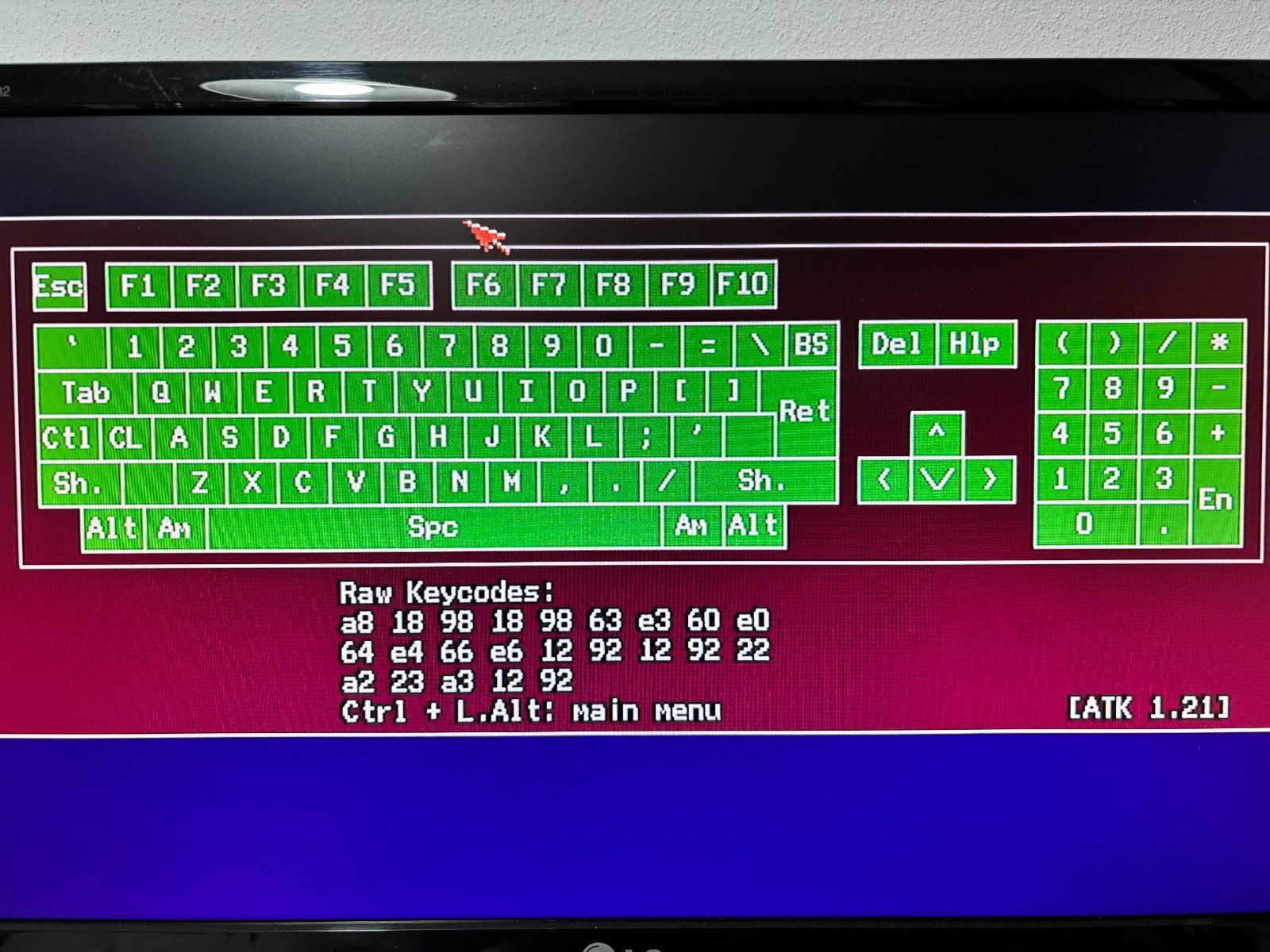 Zdjęcie 5 z 10