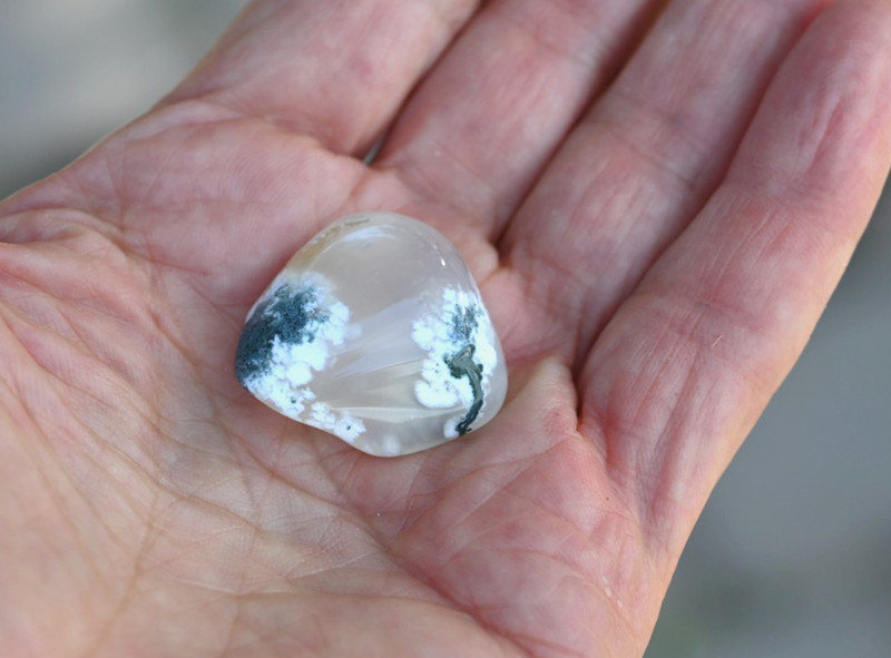 Green Plume Agate from Montana