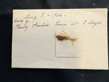 Three Day Old Infant Hair Baby Forbes 1906 Keepsake Lock Envelope Remembrance