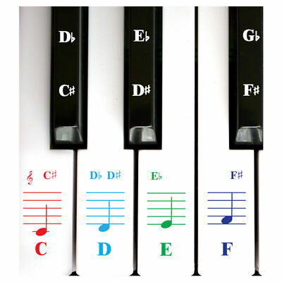 QMG Piano Stickers for Keys,Colorful Piano Keyboard Stickers for 49/61/76/88 Key