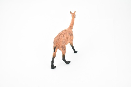 Macrauchenia, Extinct Llama, Toy Figure, Realistic Model, Statue 5" CH216 BB118 - Bild 5 von 7