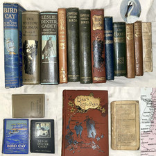  on The Hot Collector