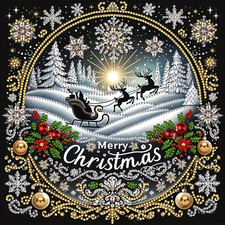 5D Diamond Art Kits for Adults,Merry Christmas Special Shape Diamond Painting Ki