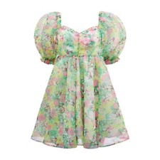 SHEIN Sweetheart Neck Puff Sleeve Organza Dress Green