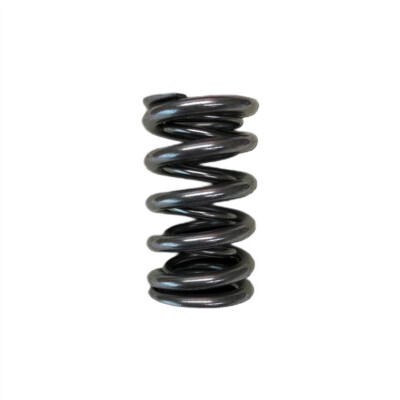 Doppelte Ventilfeder Brian Crower für Honda/Acura K20A2/K20A/K24A2/F20C1/F22C1