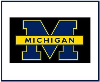 C35 Michigan Wolverines College Team Logo Refrigerator Magnet