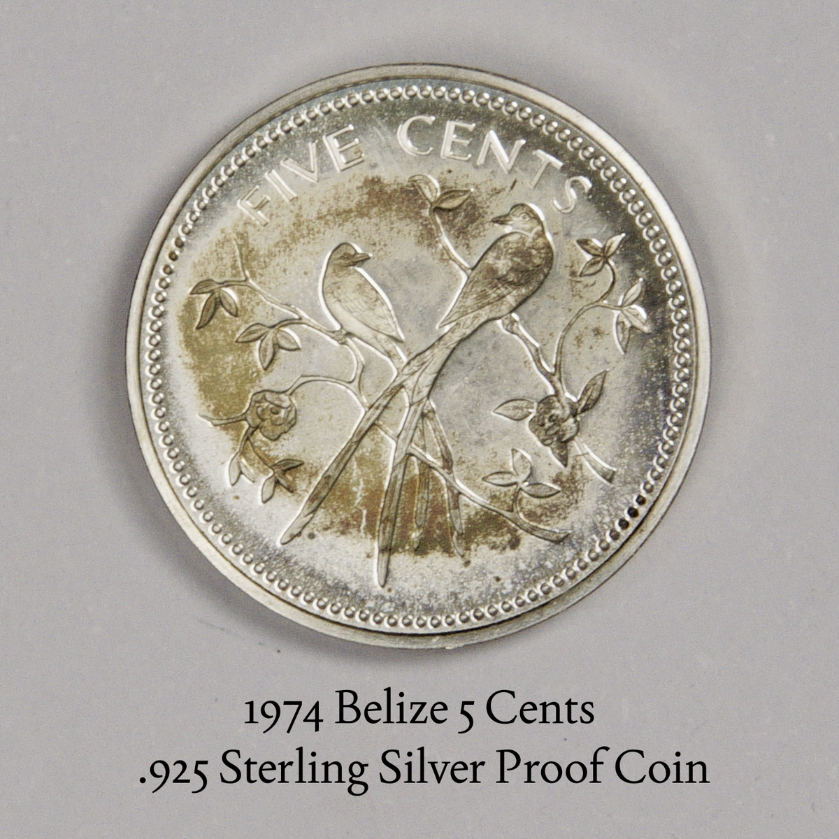 1974 Belize 5 Cents – .925 Sterling Silver Proof Coin (Hummingbird