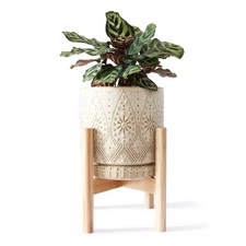 8 Inch Plant Pot with Stand, Ceramic Planter with Drainage Holes, Saucers and...
