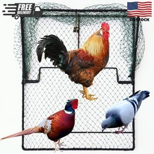 Bird Trap Pigeon Quail Live Animal Control Spring Starling Chicken Snares